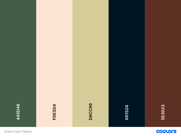 Color Palette