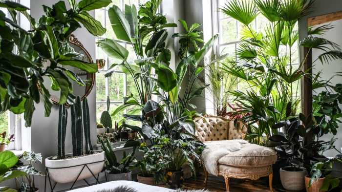 Indoor plant decor ideas