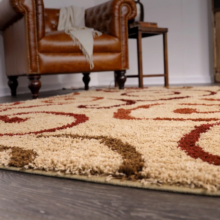 Area Rugs