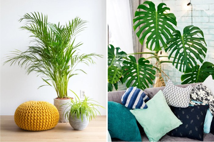 How to incorporate indoor plants into my home decor