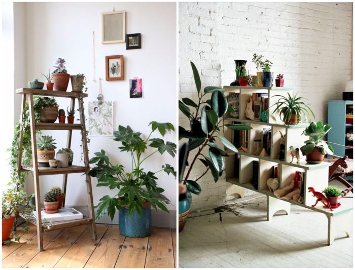 Indoor plant decor ideas